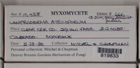 Image Associated With the Occurence